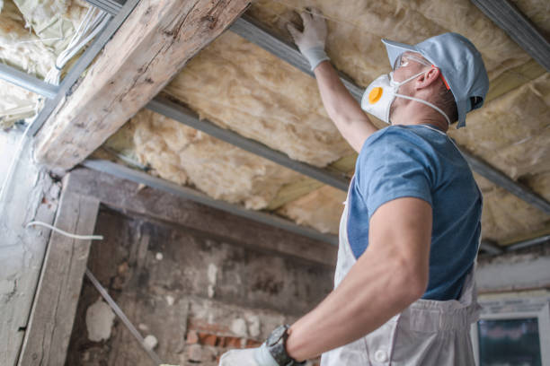 Lake Nacimiento, CA Insulation Contractor Company