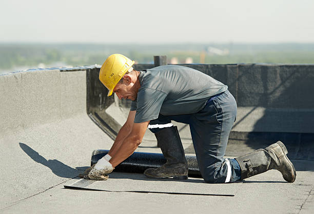 Best Cellulose Insulation in Lake Nacimiento, CA
