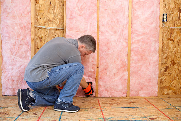 Best Energy Efficiency Insulation in Lake Nacimiento, CA