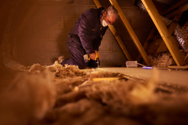 Types of Insulation We Offer in Lake Nacimiento, CA