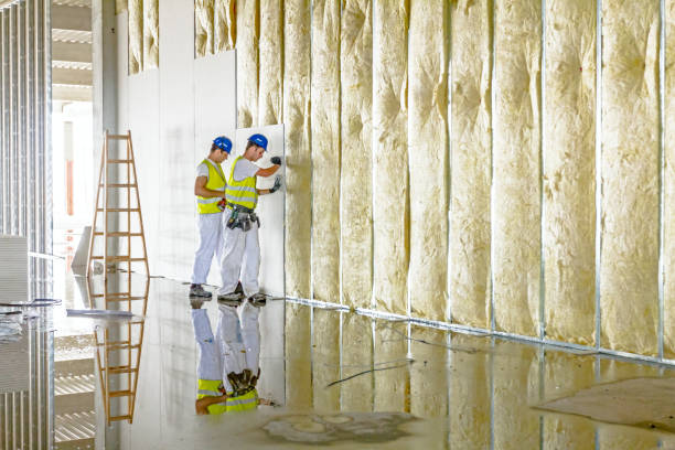 Best Geographic-Specific Insulation Services in Lake Nacimiento, CA